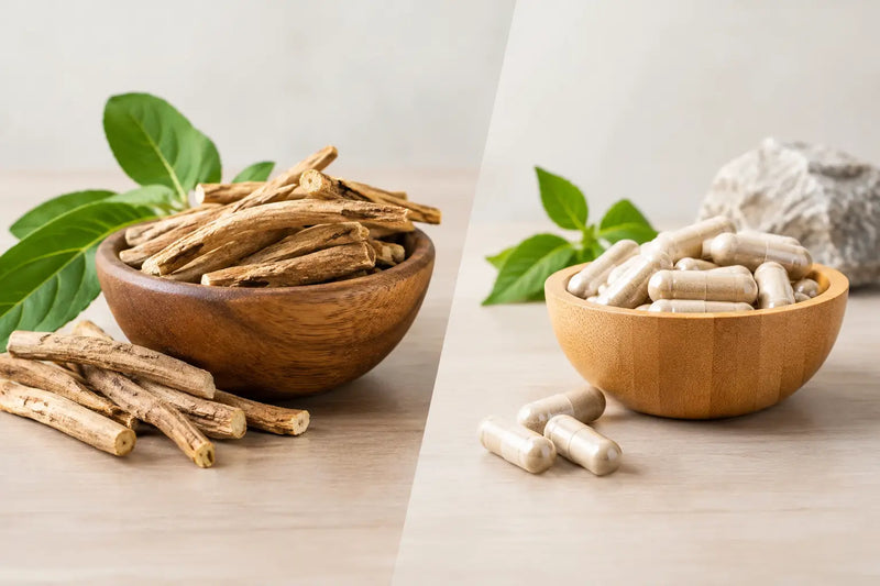 Ashwagandha Root vs KSM-66: Which Fits You?