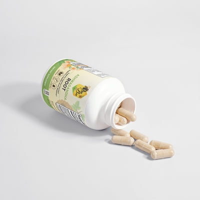 Okie bee ashwagandha Root