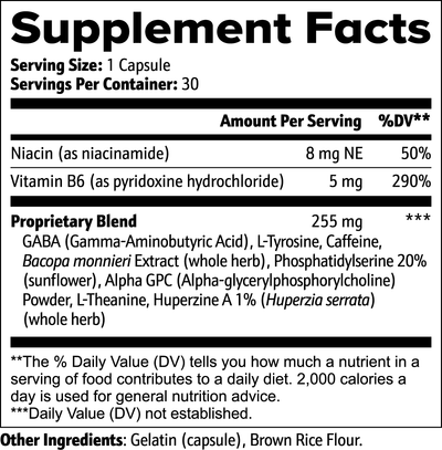 Okie Bee Cognitive Neuro Support