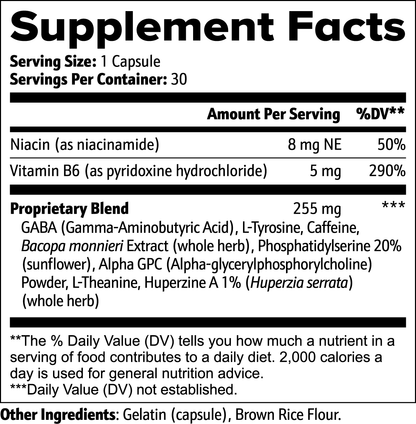 Okie Bee Cognitive Neuro Support